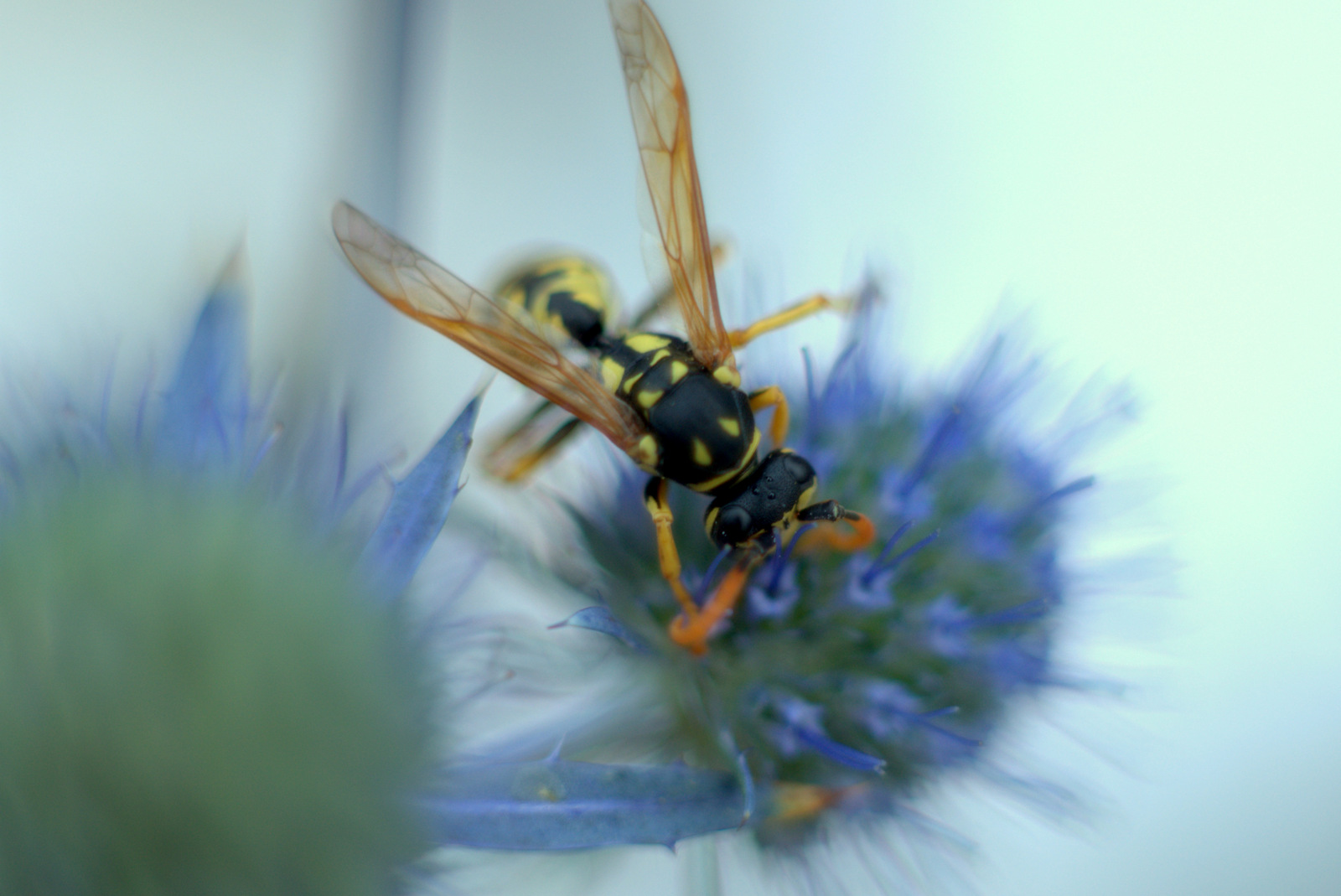 00001-2012-08-27/4-dsc_6482-nef_.jpg