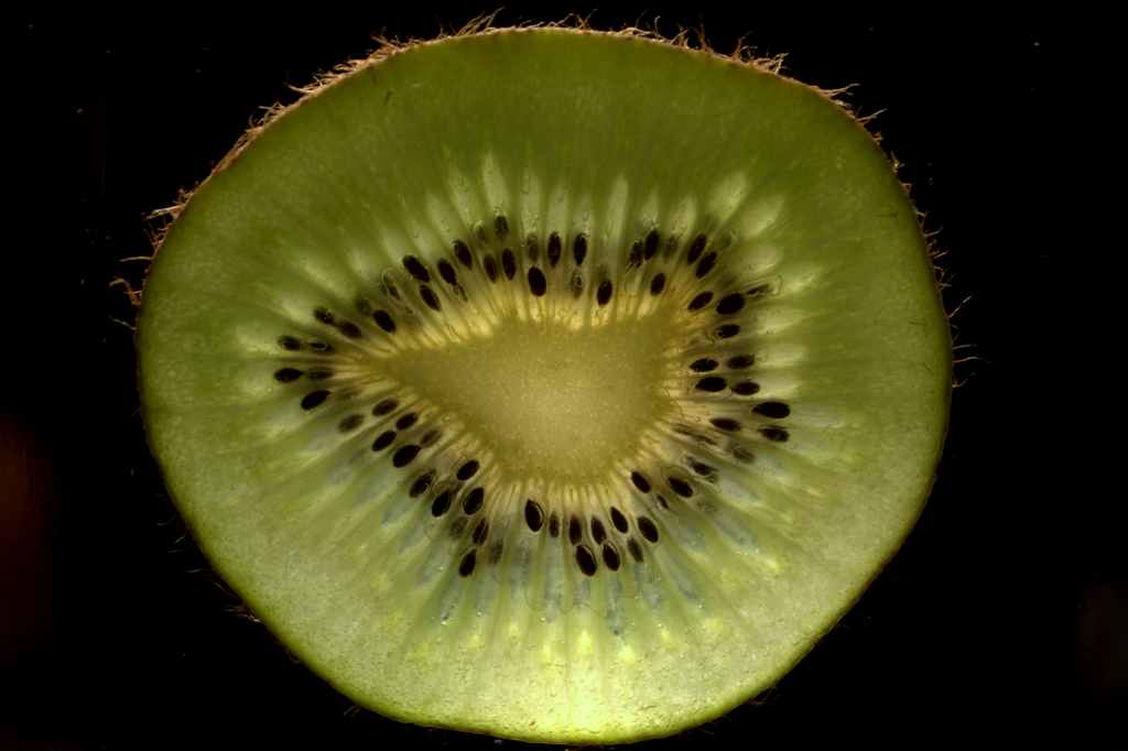 00021-kiwi/dsc_2412-nef_.jpg